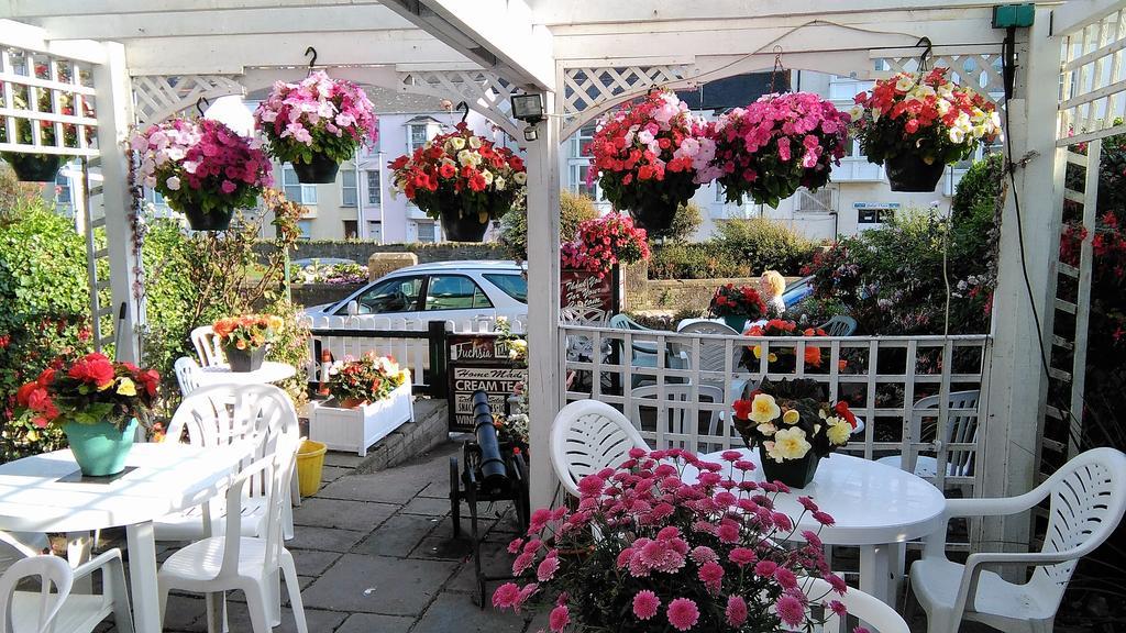 The Acorn Ilfracombe