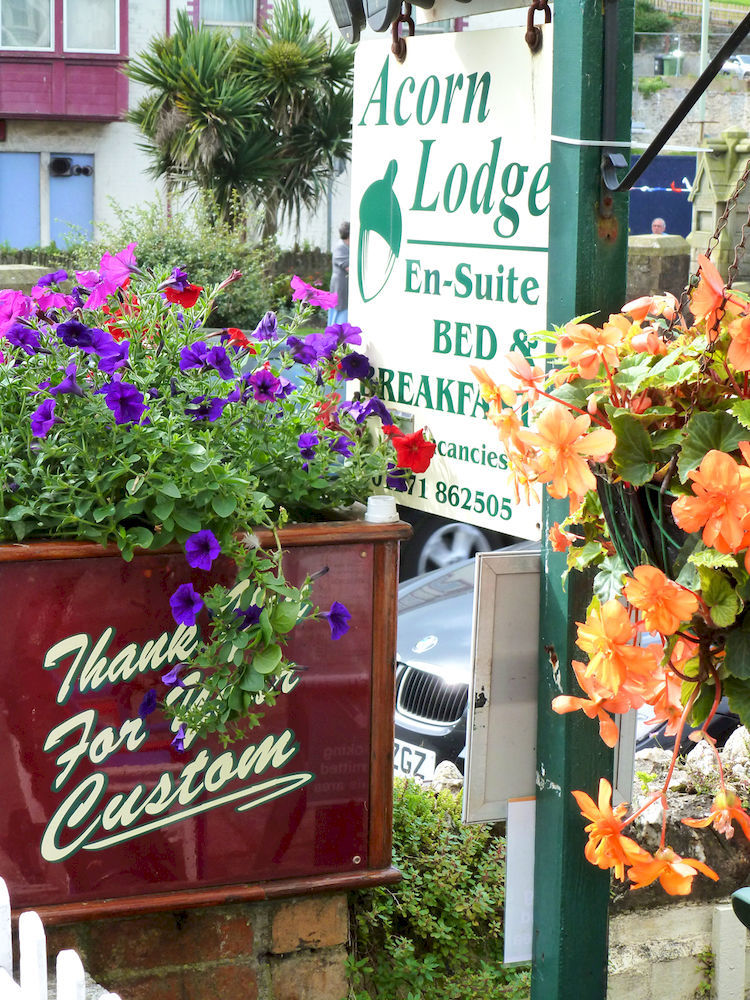 Bed & Breakfast The Acorn Ilfracombe