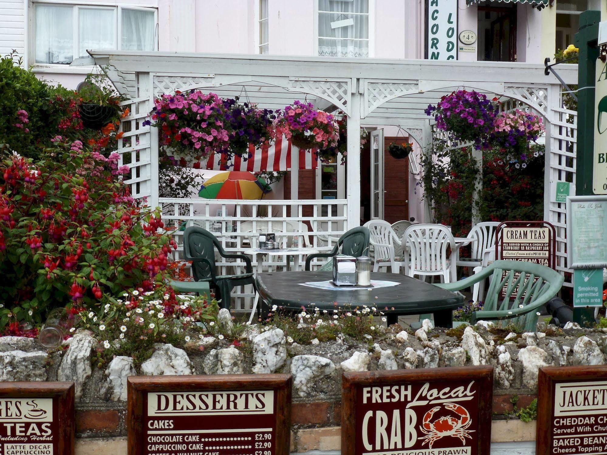 The Acorn Ilfracombe